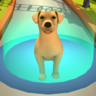 Dog Life Simulator Icon